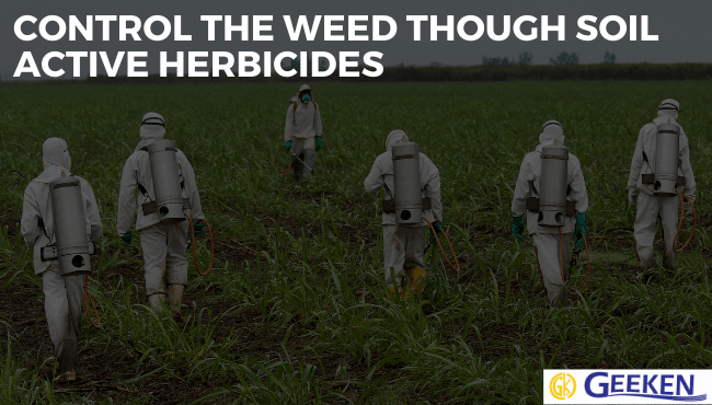 CONTROL THE WEED THROUGH SOIL ACTIVE HERBICIDES