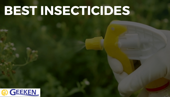 THE BEST INSECTICIDES FOR YOUR GARDEN PLANTS