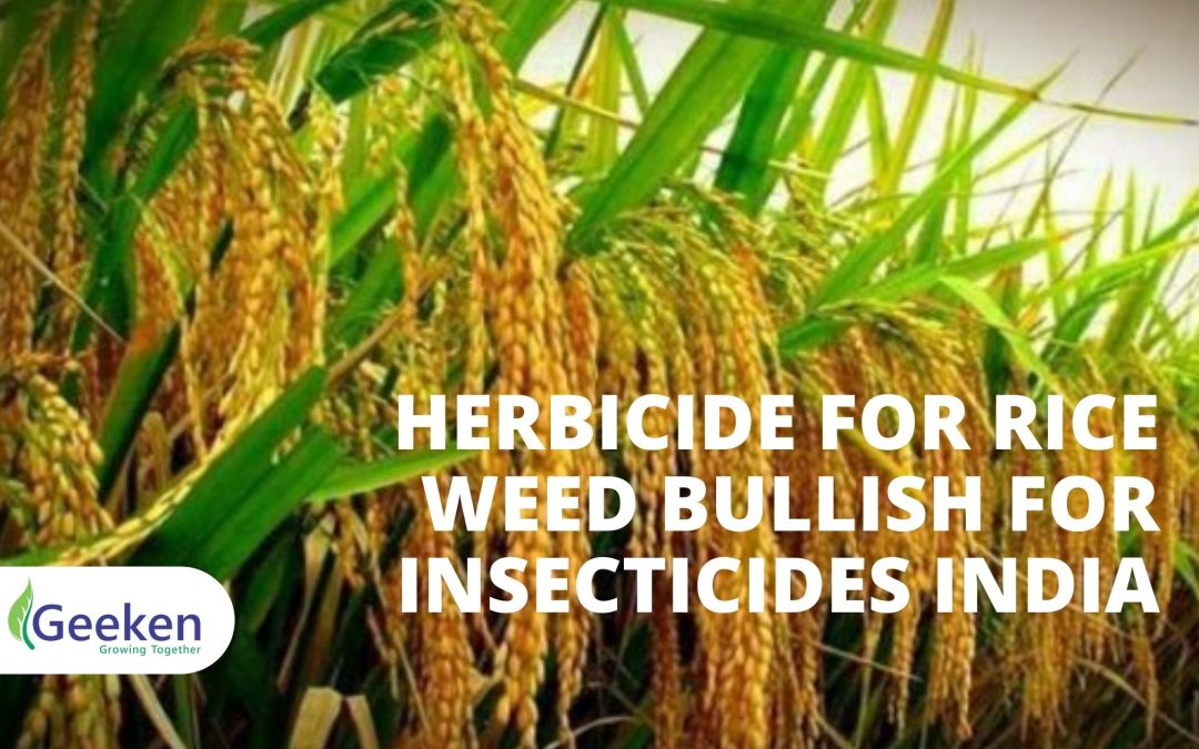 Herbicide For Rice Weed Bullish For Insecticides India