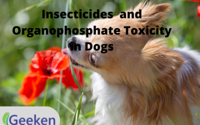 Insecticides and Organophosphate Toxicity in Dogs
