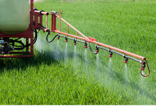 spraying using Regulated Herbicide Procedures for Applying