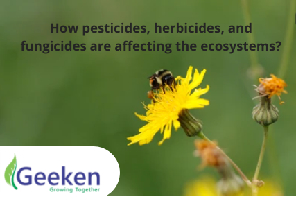 How pesticides, herbicides, and fungicides are affecting the ecosystems?