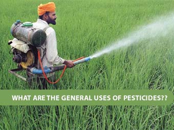 What Are The General Uses Of Pesticides??
